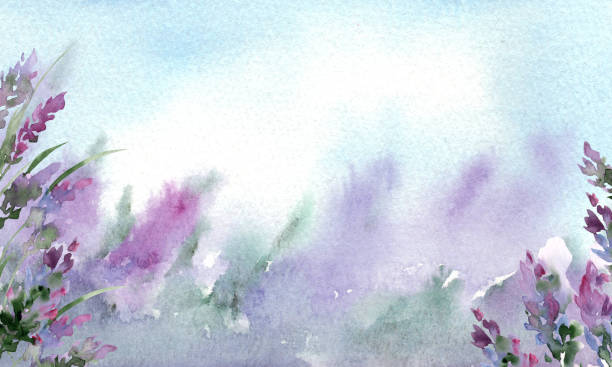 istock Watercolor abstract illustration of lavender 1737554719
