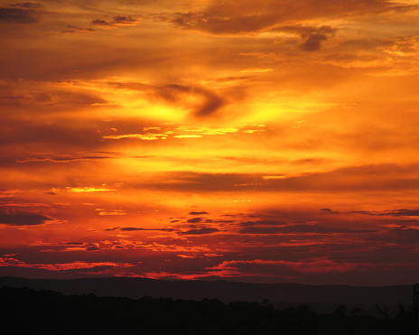 a majestic gold and orange sunset