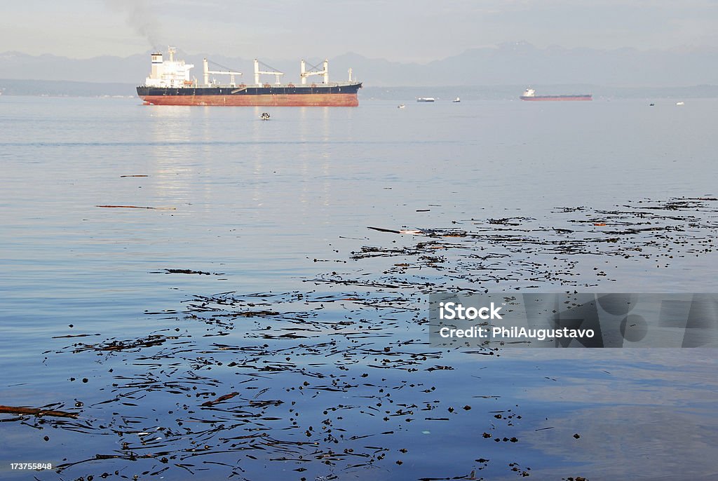 Navi ancora in Stretto di Puget - Foto stock royalty-free di Acqua