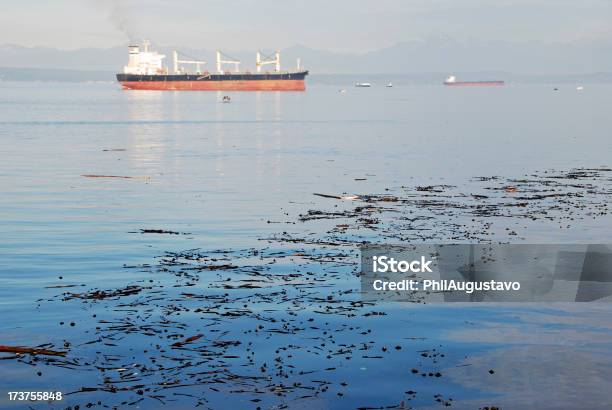 Navi Ancora In Stretto Di Puget - Fotografie stock e altre immagini di Acqua - Acqua, Adulto, Alga bruna