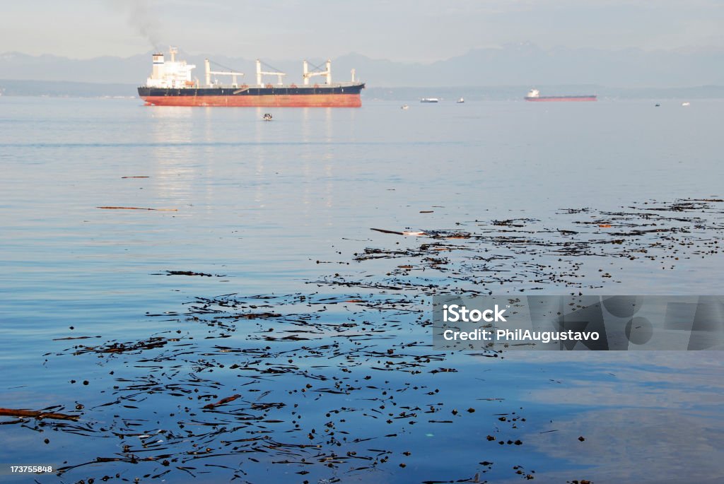 Navios a ancorar na Puget Sound - Royalty-free Adulto Foto de stock