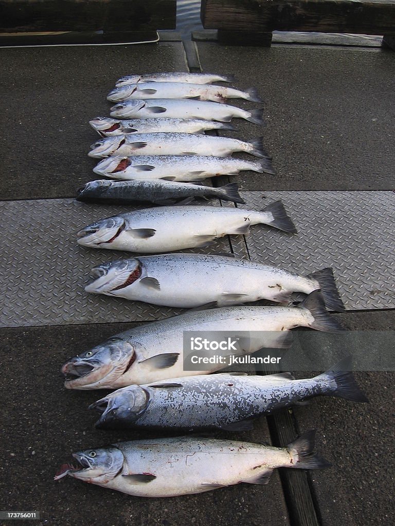 Twelve in einer Reihe - Lizenzfrei Alaska - US-Bundesstaat Stock-Foto