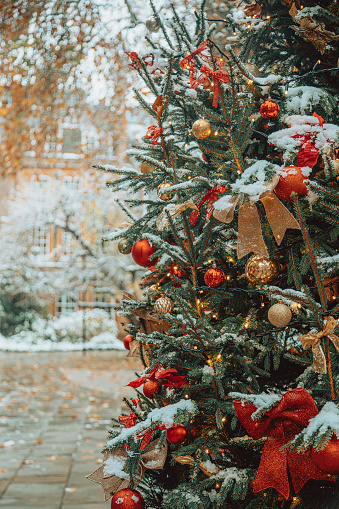 Detail of colorful and illuminated Christmas trees on snowy London streets during a festive Christmas day. This image captures the fresh snow-covered holiday atmosphere