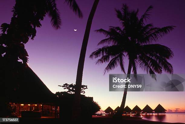 Paraíso Tropical - Fotografias de stock e mais imagens de Bora Bora - Bora Bora, Cultura polinésia, Empreendimento Turístico