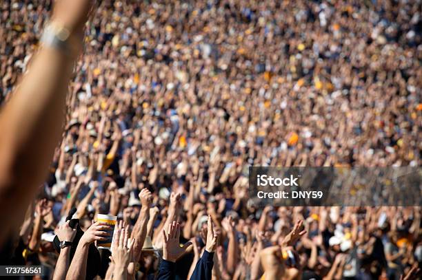 A Torcer Multidão - Fotografias de stock e mais imagens de Grande - Grande, Multidão, Estádio