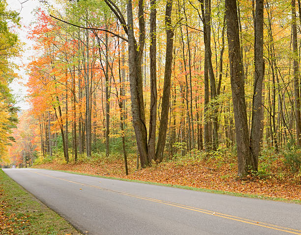 "smoky góra jesień drogi serii (xxl)" - gatlinburg road winding road tennessee zdjęcia i obrazy z banku zdjęć