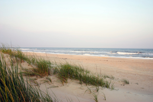 View of the dunes and sea oates of North Carolina's Outer Banks.