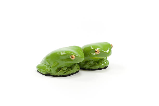 zielone żaby drzewne - green treefrog frog common frog tree frog zdjęcia i obrazy z banku zdjęć