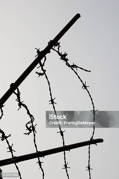 Misty Barb Wire Stock Photo - Download Image Now - Barbed Wire, Boredom, Confined Space