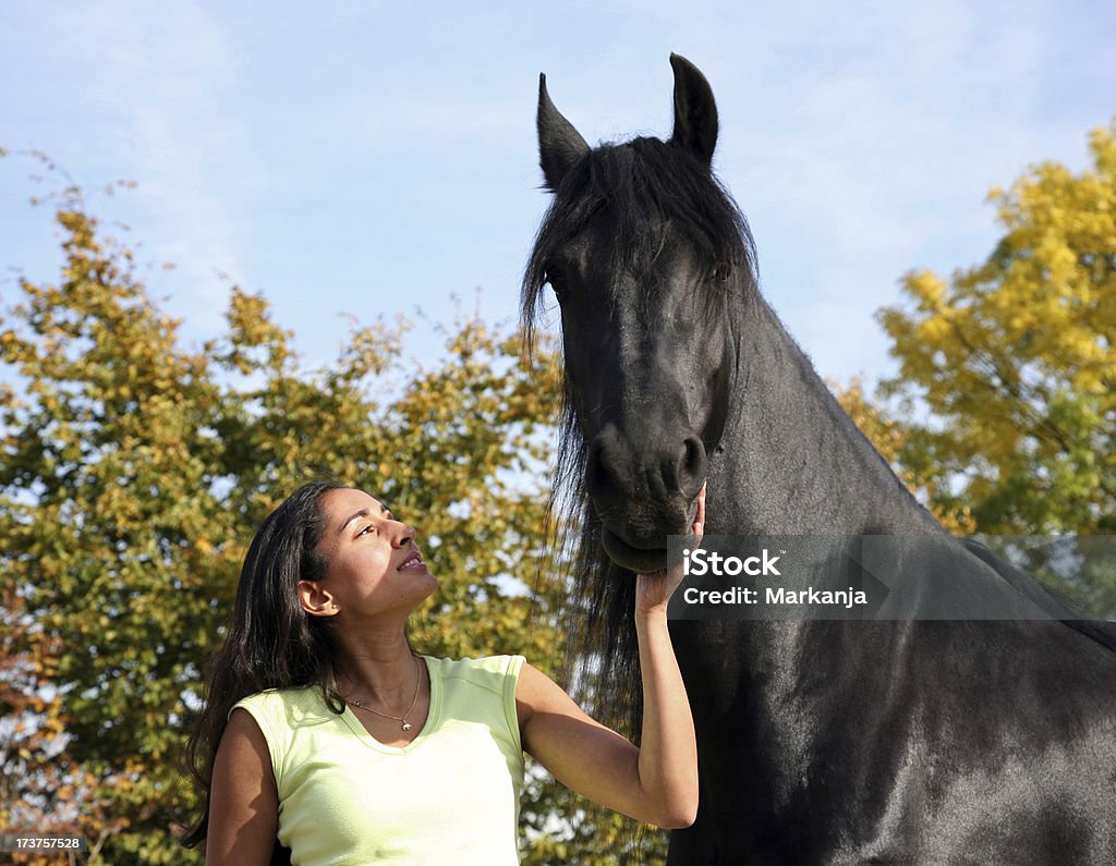 Two times black Beautiful black Friesian horse and pretty black girl. Dressage Stock Photo