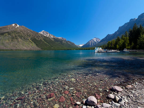 레이브 mcdonald - usa us glacier national park mcdonald lake transportation 뉴스 사진 이미지