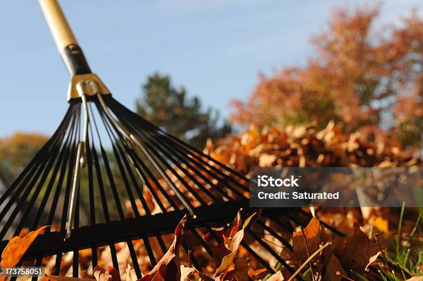 Fallen Blätter Mit Rechen Und Bäume Stockfoto und mehr Bilder von Rechen - Rechen, Blatt - Pflanzenbestandteile, Bewegung