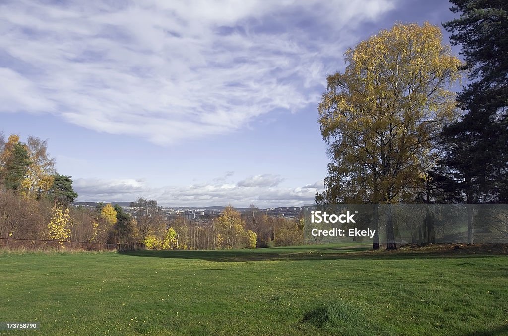 Park mit grünen Rasen im Herbst und Aussicht auf Oslo - Lizenzfrei Ahorn Stock-Foto