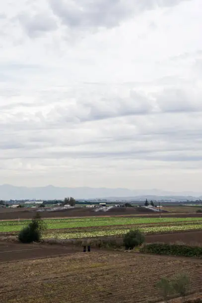 "The Salinas Valley also known as the breadbasket of the world, beautiful valley full of  life."