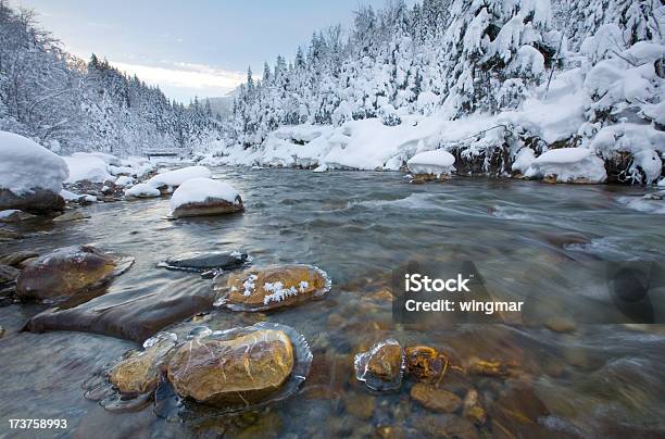 Il Fiume Rotlech - Fotografie stock e altre immagini di Acqua - Acqua, Albero, Alpi