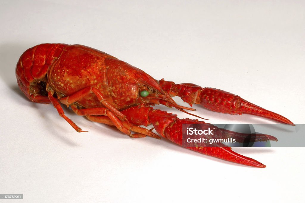 Écrevisses - Photo de Homard - Produit de la mer libre de droits