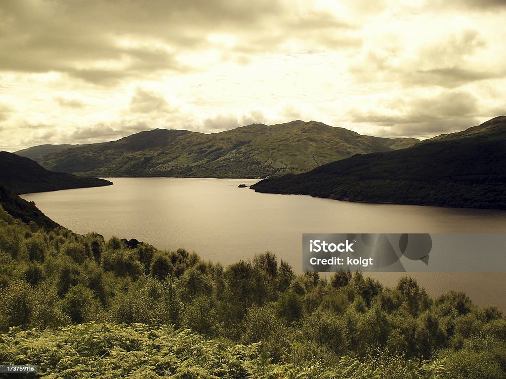 Loch Lomond in the Summer A greeny view of Loch Lomond.Also Beauty In Nature Stock Photo