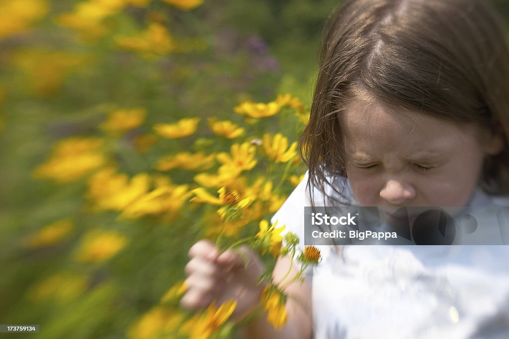 Sneeze II Girl sneezing in field of flowers Allergy Stock Photo