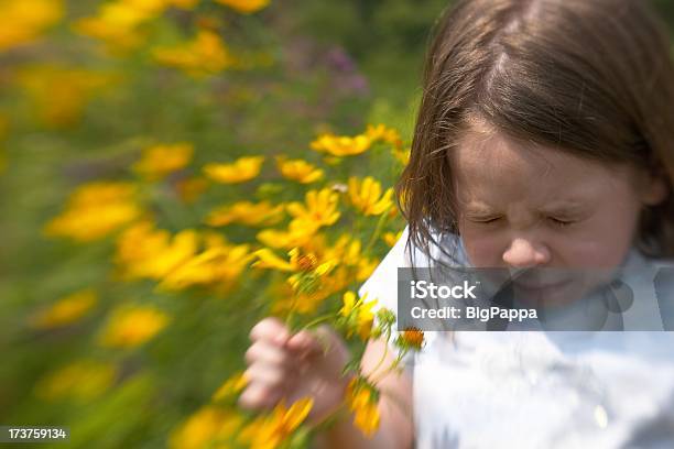 Sneeze Ii Stock Photo - Download Image Now - Allergy, Flower, Girls