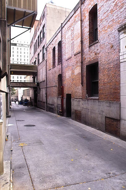 istock Back Alley with Red Brick Buildings 173759153