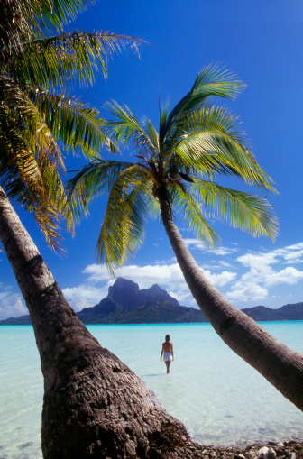 Palm trees and woman walking in the lagoon on the island of Bora Bora