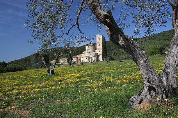 italian vista panorámica - abbazia di santantimo fotografías e imágenes de stock