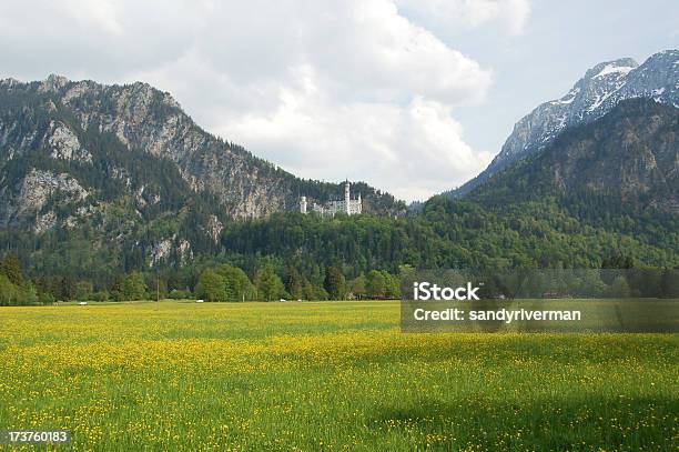 Allgau Landscape With Neuschwanstein Castle Stock Photo - Download Image Now - Neuschwanstein Castle, Springtime, Allgau