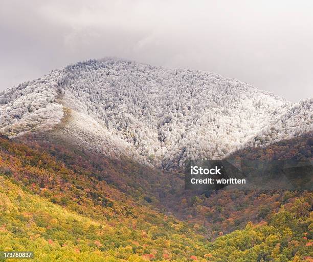 Nevicata Autunno - Fotografie stock e altre immagini di Montagna - Montagna, Townsend, Albero