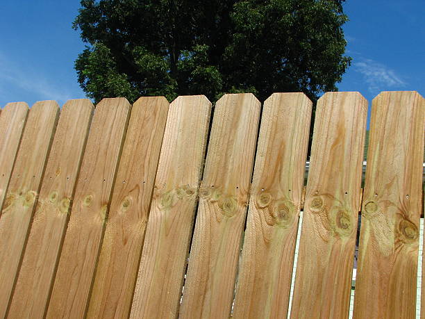 new fence3 the neighbors put up a new fence! fence3 stock pictures, royalty-free photos & images