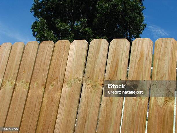 Nova Fence3 - Fotografias de stock e mais imagens de Cerca - Cerca, Madeira - Material, Casa