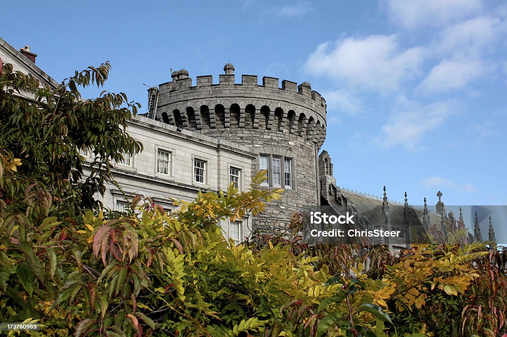 Zamku w Dublinie w Irlandii - Zbiór zdjęć royalty-free (Zamek Dubliński)