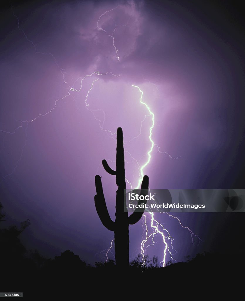Piorun Saquaro kaktusów Arizona, USA - Zbiór zdjęć royalty-free (Błyskawica)