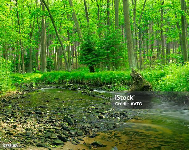 Flüstern Stream Stockfoto und mehr Bilder von Bach - Bach, Baum, Berg