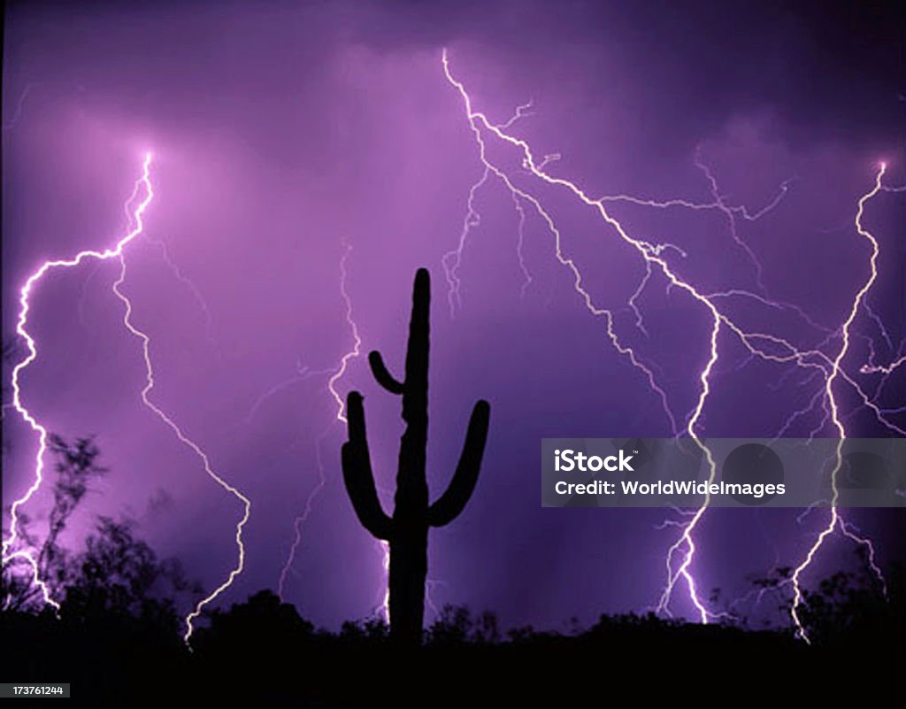 Молния проходит над Saquaro с изображением кактусов - Стоковые фото Молния роялти-фри