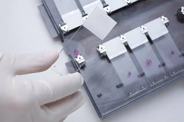 A histology lab tech prepares a slide tray