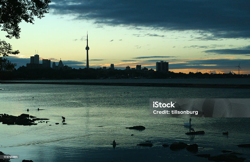 Toronto Skyline alba - Foto stock royalty-free di Ambientazione esterna