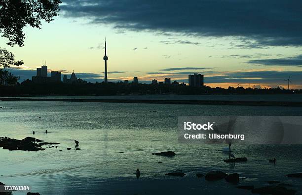 Toronto Skyline Alba - Fotografie stock e altre immagini di Ambientazione esterna - Ambientazione esterna, America del Nord, Anatra - Uccello acquatico