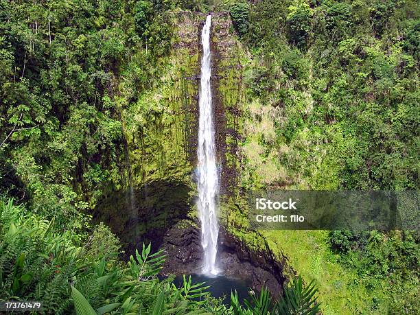 Кака Фолсhorizontal — стоковые фотографии и другие картинки Большой - Большой, Биг Айлэнд - Гавайские острова, Вода