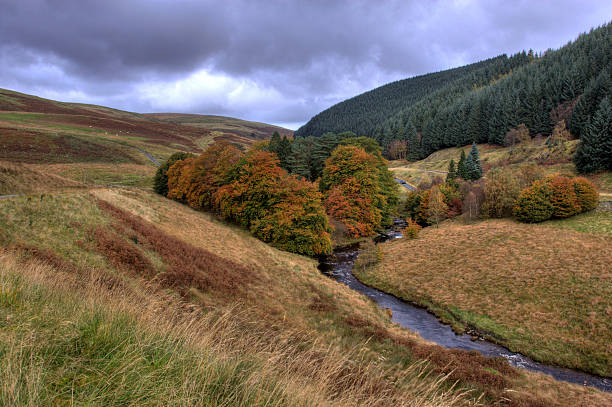 istock Autumnal moorland and river 173761541
