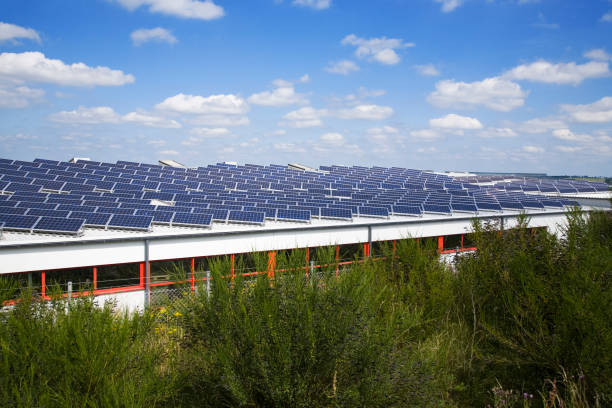 planta con una gran número de paneles solares - eos5d fotografías e imágenes de stock