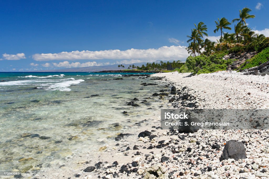 Kohala Coast - Foto de stock de América do Norte royalty-free