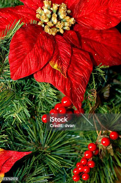 Flor De Navidad Foto de stock y más banco de imágenes de Colgar - Colgar, Corona - Arreglo floral, Decoración - Objeto