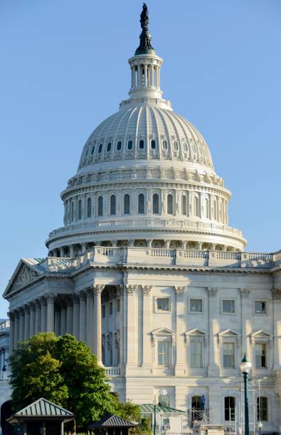 istock The Capitol Building Dome in Washington DC 173762302