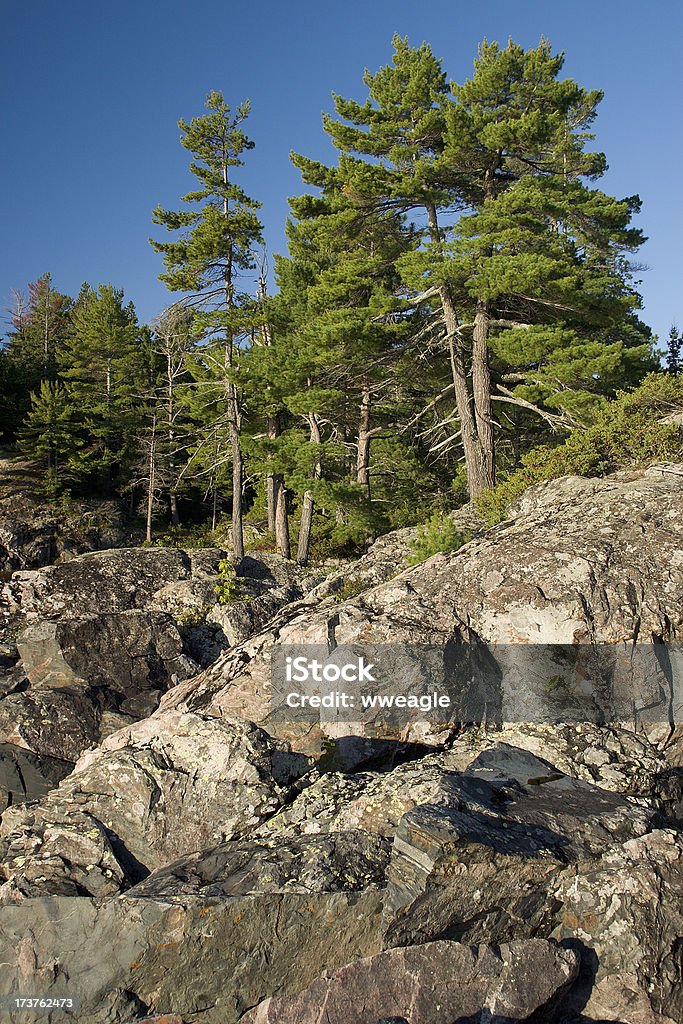 Norte Shore - Foto de stock de Acantilado libre de derechos