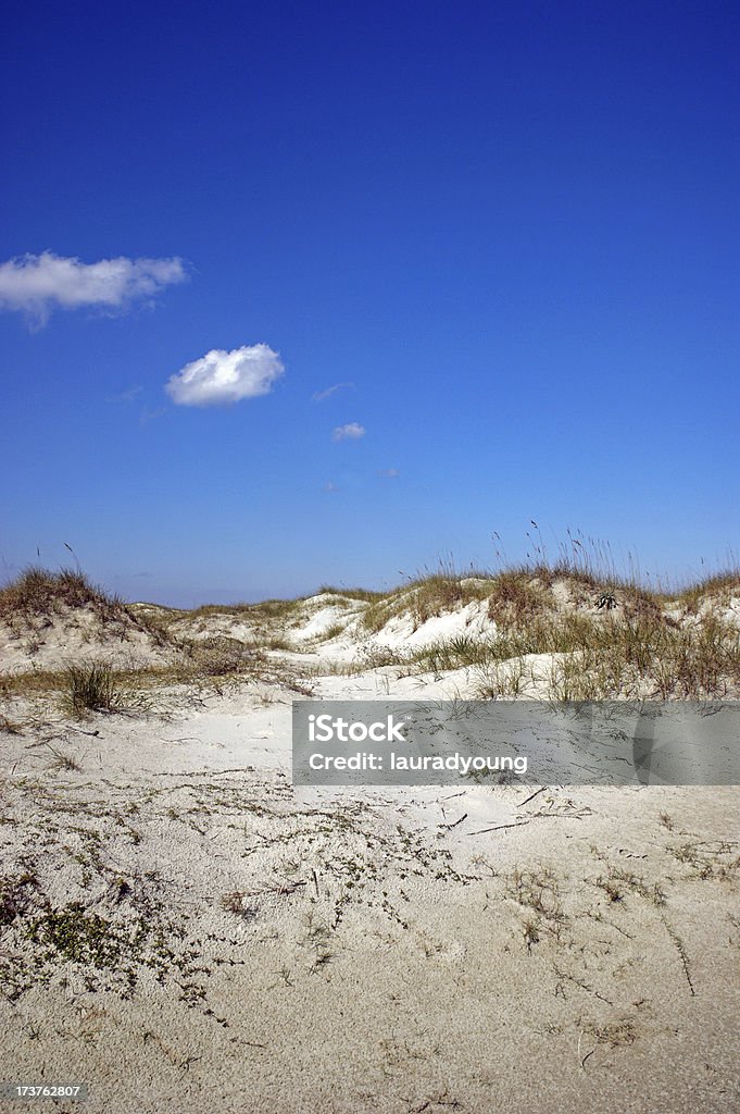 Песчаные дюны Cumberland Остров Джорджия - Стоковые фото Без людей роялти-фри