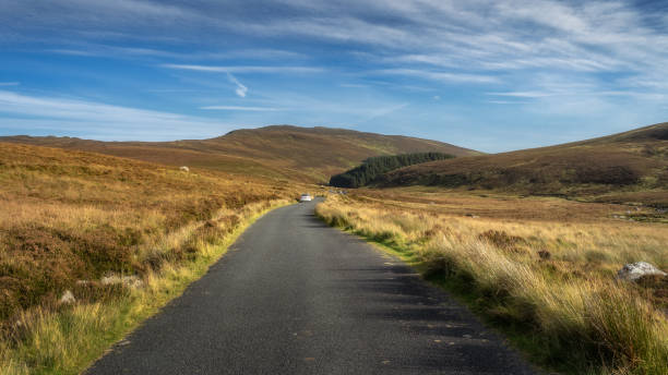 istock Car on a narrow road leading through a valley with peatbog and forest in Wicklow Mountains 1737628362