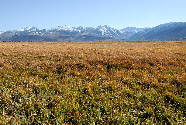 Mountains and Field stock photo