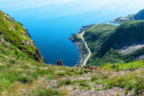 Reinebringen, Norway - July 13 2023: Hikers going up or down the rock stairs of the hiking trail to the Reinebringen Mountain; view along the coastline to the South of Moskenesøya island. The staircases were built by Nepalese Sherpas.