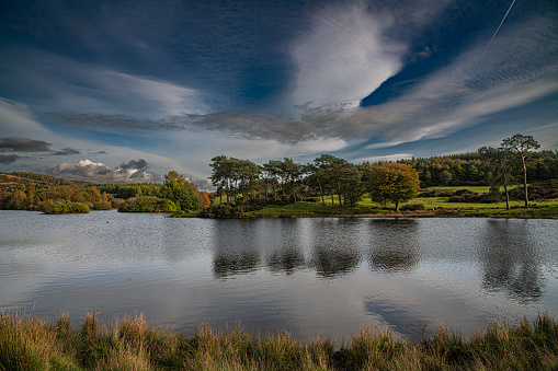 An English Park with lake and five arched bridge over and a Turkish tent in the distance. Oak and various trees surround the lake with grass.