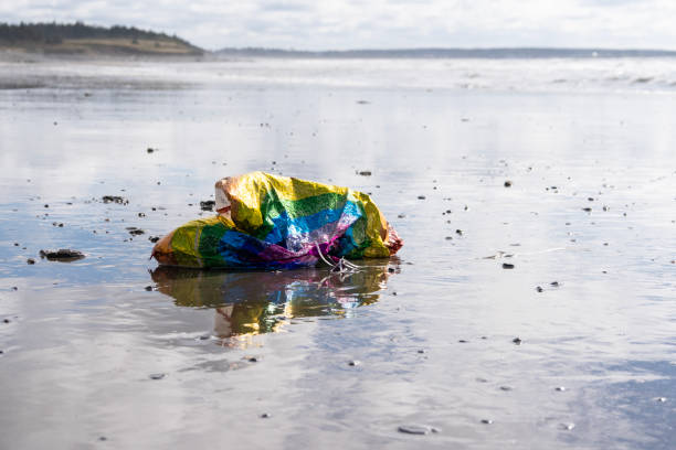 Party balloons can be very dangerous for marine mammals and turtles.  This balloon  washed up on a beach in Nova Scotia.